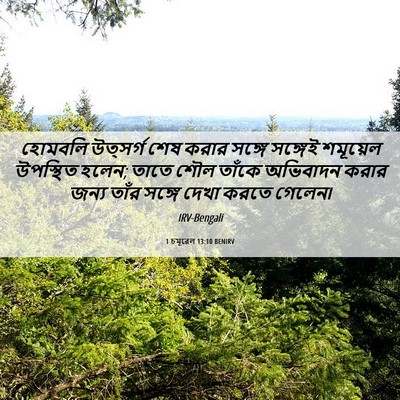 Picture 06 - 1 চমূৱেল 13:10 BENIRV - হোমবলি উত্সর্গ - Bible Verse Picture