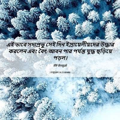 Picture 06 - 1 চমূৱেল 14:23 BENIRV - এই ভাবে সদাপ্রভু - Bible Verse Picture
