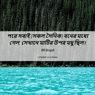 Picture 06 - 1 চমূৱেল 14:25 BENIRV - পরে সবাই (সকল - Bible Verse Picture