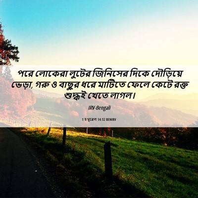 Picture 06 - 1 চমূৱেল 14:32 BENIRV - পরে লোকেরা লুটের - Bible Verse Picture