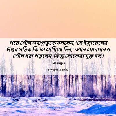 Picture 06 - 1 চমূৱেল 14:41 BENIRV - পরে শৌল - Bible Verse Picture