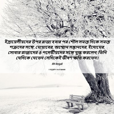 Picture 06 - 1 চমূৱেল 14:47 BENIRV - ইস্রায়েলীয়দের - Bible Verse Picture