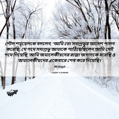 Picture 06 - 1 চমূৱেল 15:20 BENIRV - শৌল শমূয়েলকে - Bible Verse Picture