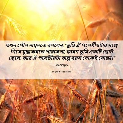 Picture 06 - 1 চমূৱেল 17:33 BENIRV - তখন শৌল দায়ূদকে - Bible Verse Picture