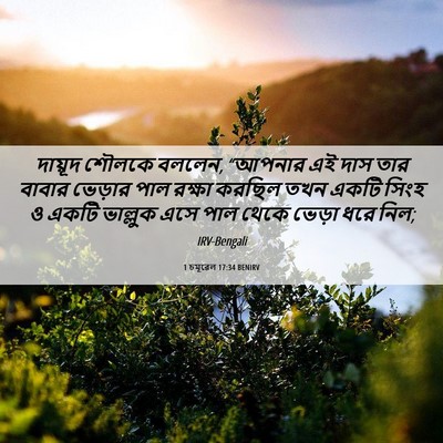 Picture 06 - 1 চমূৱেল 17:34 BENIRV - দায়ূদ শৌলকে - Bible Verse Picture