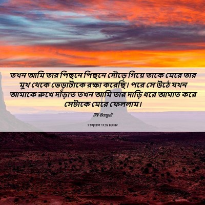 Picture 06 - 1 চমূৱেল 17:35 BENIRV - তখন আমি তার পিছনে - Bible Verse Picture