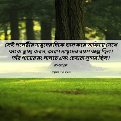 Picture 06 - 1 চমূৱেল 17:42 BENIRV - সেই পলেষ্টীয় - Bible Verse Picture
