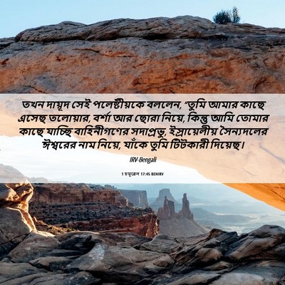 Picture 06 - 1 চমূৱেল 17:45 BENIRV - তখন দায়ূদ সেই - Bible Verse Picture