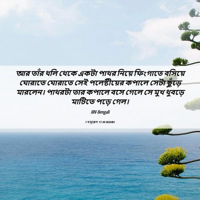 Picture 06 - 1 চমূৱেল 17:49 BENIRV - আর তাঁর থলি থেকে - Bible Verse Picture