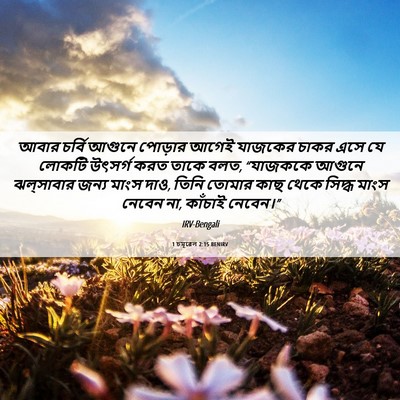 Picture 06 - 1 চমূৱেল 2:15 BENIRV - আবার চর্বি আগুনে - Bible Verse Picture