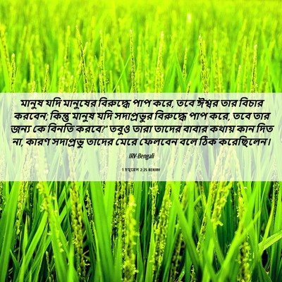 Picture 06 - 1 চমূৱেল 2:25 BENIRV - মানুষ যদি মানুষের - Bible Verse Picture