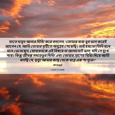Picture 06 - 1 চমূৱেল 20:3 BENIRV - তাতে দায়ূদ আবার - Bible Verse Picture