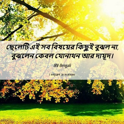 Picture 06 - 1 চমূৱেল 20:39 BENIRV - ছেলেটি এই সব - Bible Verse Picture