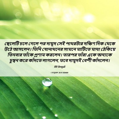 Picture 06 - 1 চমূৱেল 20:41 BENIRV - ছেলেটি চলে গেলে পর - Bible Verse Picture