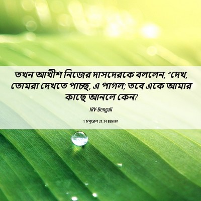 Picture 06 - 1 চমূৱেল 21:14 BENIRV - তখন আখীশ নিজের - Bible Verse Picture