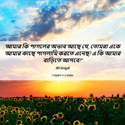 Picture 06 - 1 চমূৱেল 21:15 BENIRV - আমার কি পাগলের - Bible Verse Picture