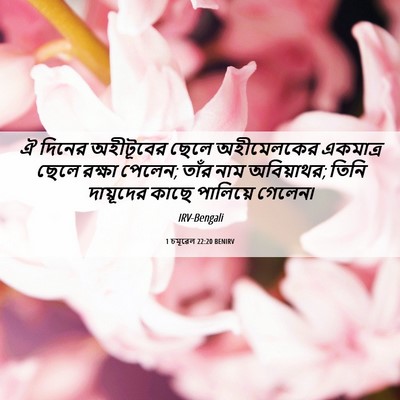 Picture 06 - 1 চমূৱেল 22:20 BENIRV - ঐ দিনের অহীটূবের - Bible Verse Picture