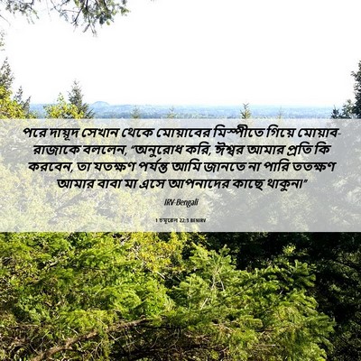 Picture 06 - 1 চমূৱেল 22:3 BENIRV - পরে দায়ূদ সেখান - Bible Verse Picture