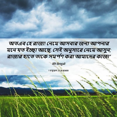 Picture 06 - 1 চমূৱেল 23:20 BENIRV - অতএব হে রাজা! নেমে - Bible Verse Picture