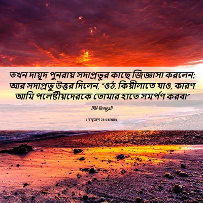 Picture 06 - 1 চমূৱেল 23:4 BENIRV - তখন দায়ূদ - Bible Verse Picture