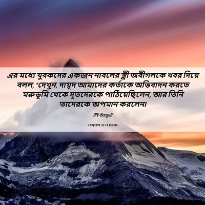 Picture 06 - 1 চমূৱেল 25:14 BENIRV - এর মধ্যে যুবকদের - Bible Verse Picture