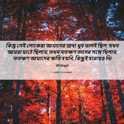 Picture 06 - 1 চমূৱেল 25:15 BENIRV - কিন্তু সেই লোকেরা - Bible Verse Picture