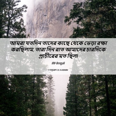 Picture 06 - 1 চমূৱেল 25:16 BENIRV - আমরা যতদিন তাদের - Bible Verse Picture