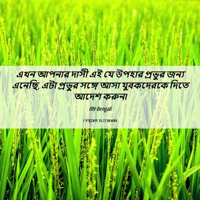 Picture 06 - 1 চমূৱেল 25:27 BENIRV - এখন আপনার দাসী এই - Bible Verse Picture