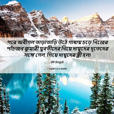 Picture 06 - 1 চমূৱেল 25:42 BENIRV - পরে অবীগল - Bible Verse Picture