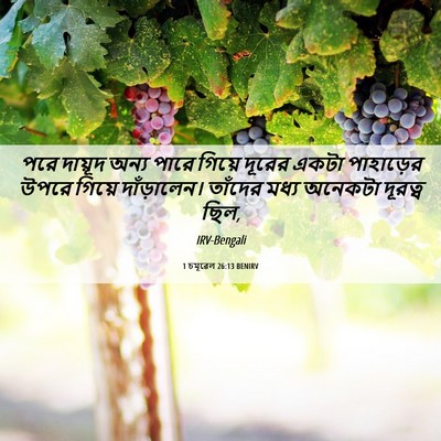 Picture 06 - 1 চমূৱেল 26:13 BENIRV - পরে দায়ূদ অন্য - Bible Verse Picture