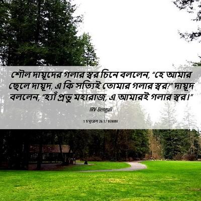 Picture 06 - 1 চমূৱেল 26:17 BENIRV - শৌল দায়ূদের গলার - Bible Verse Picture