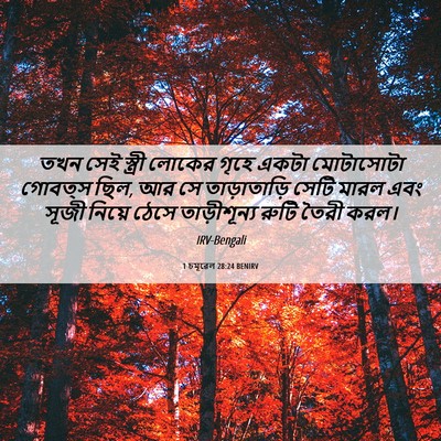 Picture 06 - 1 চমূৱেল 28:24 BENIRV - তখন সেই স্ত্রী - Bible Verse Picture