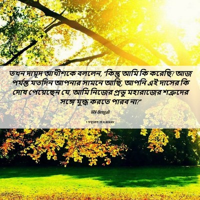 Picture 06 - 1 চমূৱেল 29:8 BENIRV - তখন দায়ূদ আখীশকে - Bible Verse Picture
