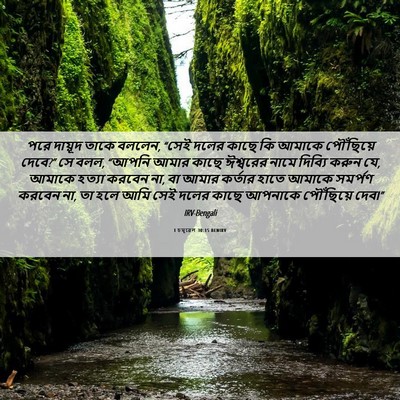 Picture 06 - 1 চমূৱেল 30:15 BENIRV - পরে দায়ূদ তাকে - Bible Verse Picture