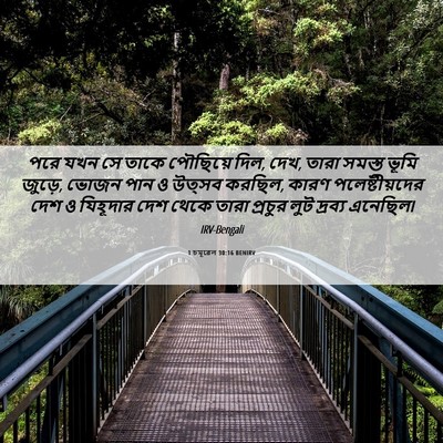 Picture 06 - 1 চমূৱেল 30:16 BENIRV - পরে যখন সে তাকে - Bible Verse Picture