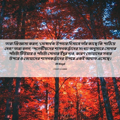 Picture 06 - 1 চমূৱেল 6:4 BENIRV - তারা জিজ্ঞাসা করল, - Bible Verse Picture