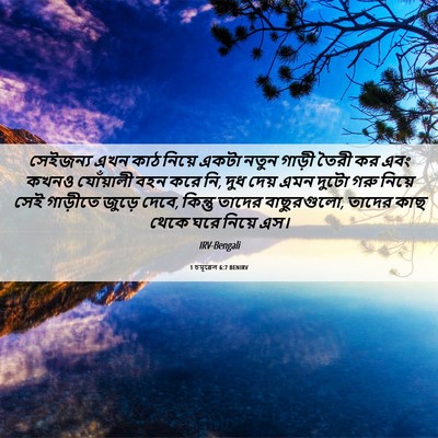 Picture 06 - 1 চমূৱেল 6:7 BENIRV - সেইজন্য এখন কাঠ - Bible Verse Picture