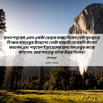 Picture 06 - 1 চমূৱেল 7:9 BENIRV - তখন শমূয়েল এমন - Bible Verse Picture