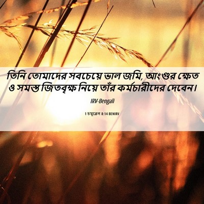 Picture 06 - 1 চমূৱেল 8:14 BENIRV - তিনি তোমাদের - Bible Verse Picture