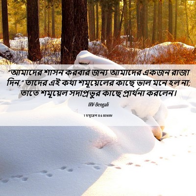 Picture 06 - 1 চমূৱেল 8:6 BENIRV - “আমাদের শাসন - Bible Verse Picture
