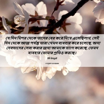 Picture 06 - 1 চমূৱেল 8:8 BENIRV - যে দিন মিশর থেকে - Bible Verse Picture