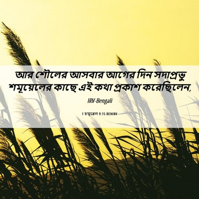 Picture 06 - 1 চমূৱেল 9:15 BENIRV - আর শৌলের আসবার - Bible Verse Picture