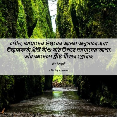 Picture 06 - 1 তীমথিয় 1:1 BENIRV - পৌল, আমাদের - Bible Verse Picture