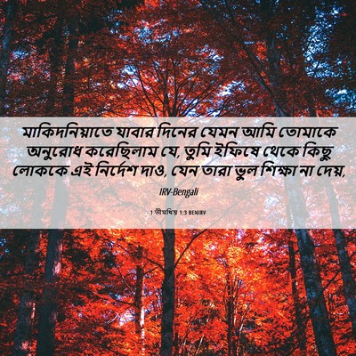Picture 06 - 1 তীমথিয় 1:3 BENIRV - মাকিদনিয়াতে - Bible Verse Picture