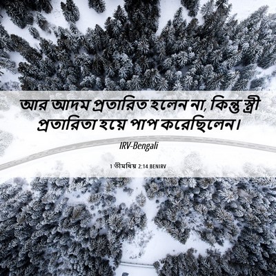 Picture 06 - 1 তীমথিয় 2:14 BENIRV - আর আদম প্রতারিত - Bible Verse Picture