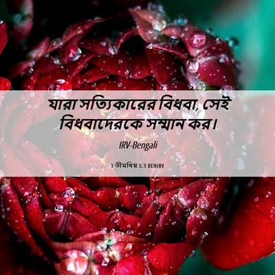 Picture 06 - 1 তীমথিয় 5:3 BENIRV - যারা সত্যিকারের - Bible Verse Picture