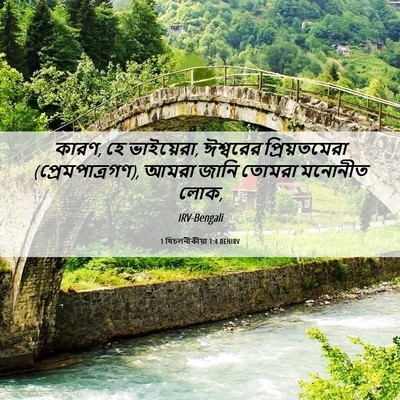Picture 06 - 1 থিচলনীকীয়া 1:4 BENIRV - কারণ, হে ভাইয়েরা, - Bible Verse Picture