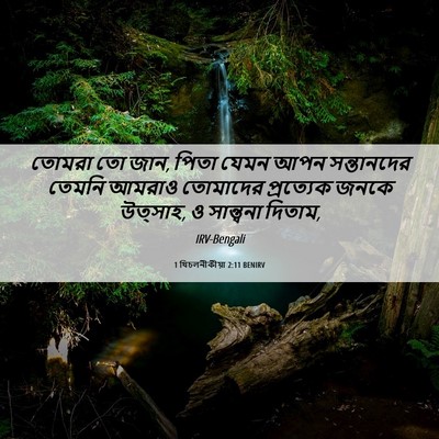 Picture 06 - 1 থিচলনীকীয়া 2:11 BENIRV - তোমরা তো জান, পিতা - Bible Verse Picture