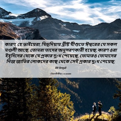 Picture 06 - 1 থিচলনীকীয়া 2:14 BENIRV - কারণ, হে ভাইয়েরা, - Bible Verse Picture