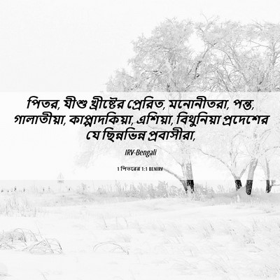 Picture 06 - 1 পিতরের 1:1 BENIRV - পিতর, যীশু - Bible Verse Picture